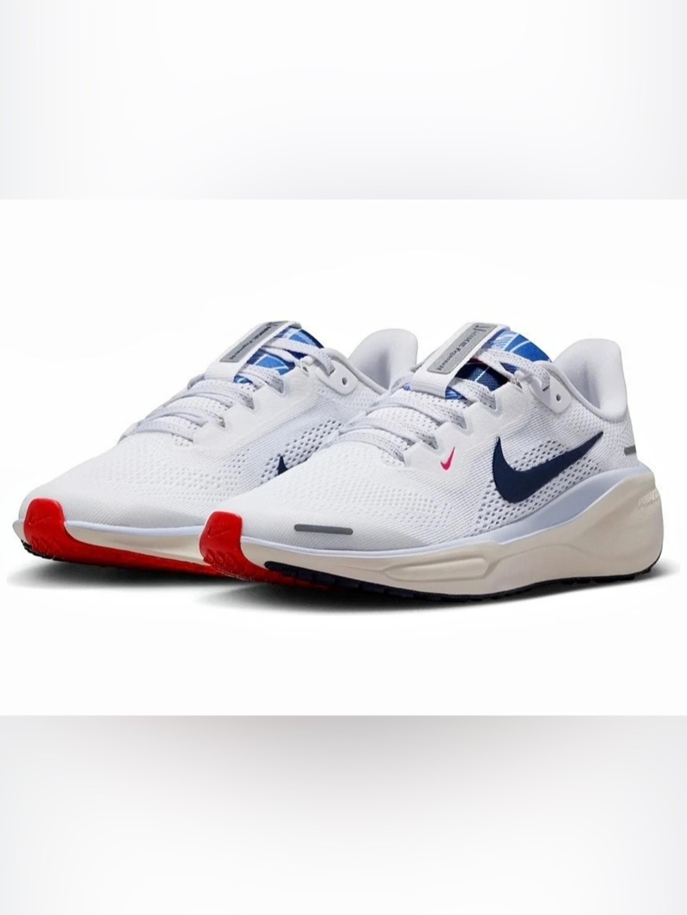 Nike Air Zoom Pegasus 41